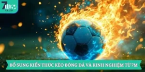 Bổ Sung Kiến Thức Kèo Bóng Đá Và Kinh Nghiệm Từ 7M